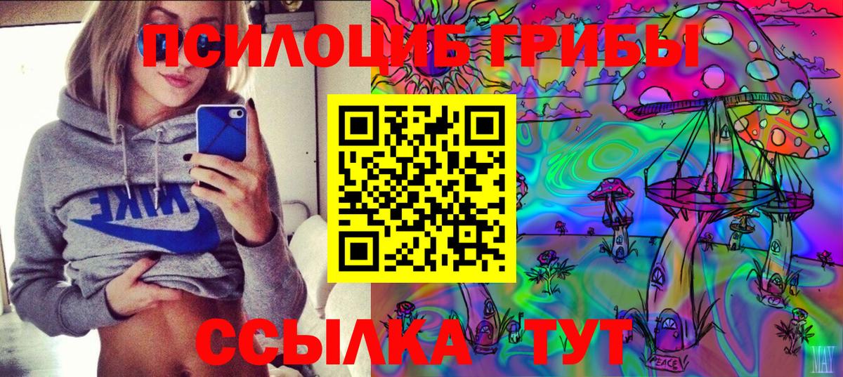 Псилоцибиновые грибы мухоморы Щёлково