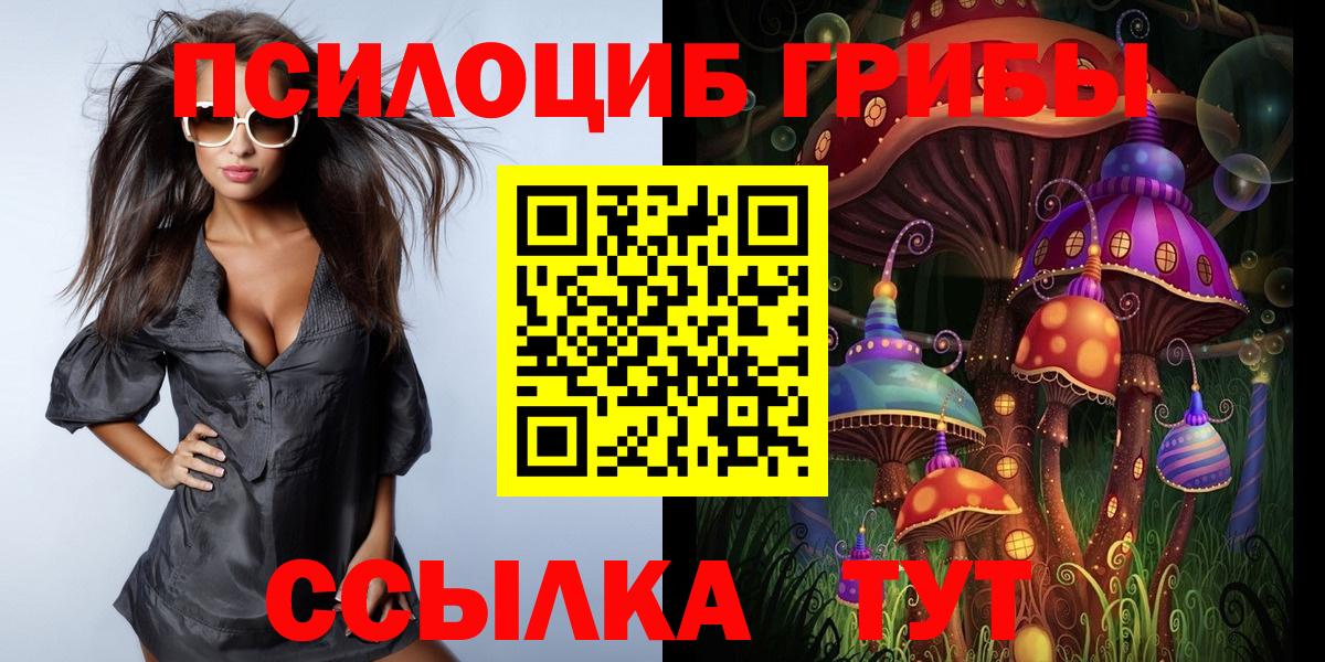 Псилоцибиновые грибы Psilocybine cubensis  Вход с VPN  Щёлково 